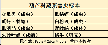 葫芦科蔬菜病害标本