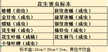 花生害虫标本