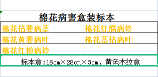 棉花病害标本