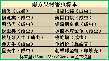 南方果树病害标本