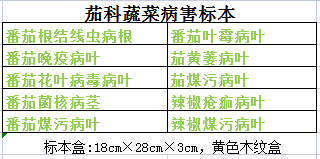 茄科蔬菜病害标本