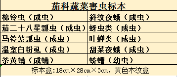 茄科蔬菜病害标本