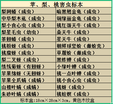 苹果 梨 桃病害标本