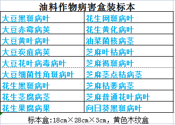 油料作物病害标本