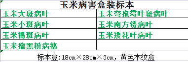 玉米病害标本