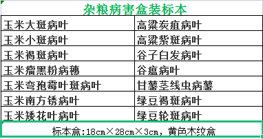 杂粮病害标本