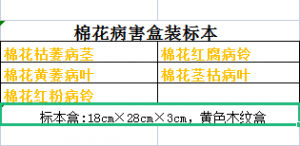 棉花病害标本