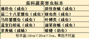 茄科蔬菜病害标本