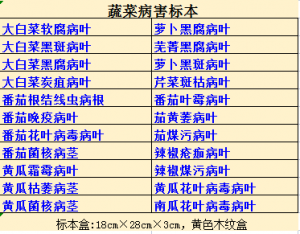 蔬菜病害标本