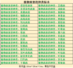 植物病害的种类