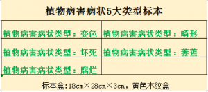 植物病害症状类型